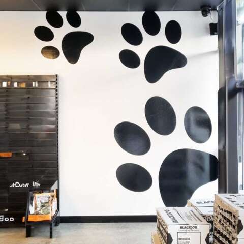 Pet Mince Direct - cut black vinyl wall stickers to decorate your business outfit is an affordable and effective option for signage